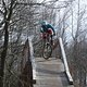 IMG 7230