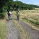 IMG 3942