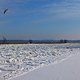 DSC 0054