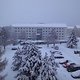 DSC01441