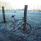 Weihnachts - Wintermorgen