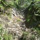 AnotherSecretTrail3
