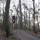 IMG 1410