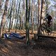 IMG 1705