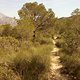 IMG 20170308 122038