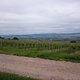 Blick Richtung Bingen/Rüdesheim