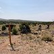 Whole Enchilada, Moab, Utah - Jimmy Keen Trail 20200918 185419686 iOS