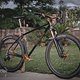SingleBe - NoisyBee - Custom 29er
