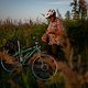 Sunset51 (MTB-News)
