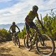 during Stage 4 of the 2025 Absa Cape Epic Mountain Bike stage race held at Fairview, Paarl, Cape Town, South Africa on the 20th March 2025. Photo by Michael Chiaretta/Cape Epic
PLEASE ENSURE THE APPROPRIATE CREDIT IS GIVEN TO THE PHOTOGRAPHER AND ABS