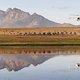 riders during Stage 4 of the 2025 Absa Cape Epic Mountain Bike stage race held at Fairview, Paarl, Cape Town, South Africa on the 20th March 2025. Photo by Sam Clark/Cape Epic
PLEASE ENSURE THE APPROPRIATE CREDIT IS GIVEN TO THE PHOTOGRAPHER AND ABSA