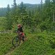 IMG 20250607 161425