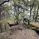 Felsenweg_Dimbach#2