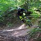 Bild00232