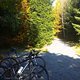 IMG1518