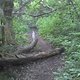 2012-05-07 19-45-09 515