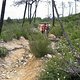 IMG 0077