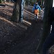 IMG 1849