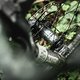 e13 Sidekick-Nabe 2025 – Neuvorstellung und Test