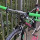 IMG 7874
