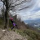 IMG 7910