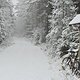 Mountainbike-Fahrt am Morgen
