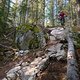 BC Whistler - A Rockwork Organge