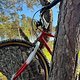1989 Tom Ritchey P-23 Team Prototyp Magazine Bike - Ride  MG 2904