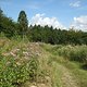 IMG 0038
