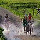 die bikebienen