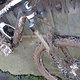 IMG 3307