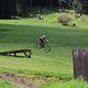 IMG 9668