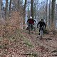 IMG 5240