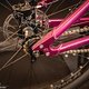 Hinten läuft die Kette über ein 14t Singlespeed-Ritzel