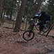 IMG 1273