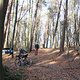 IMG 1675