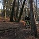 IMG 1740