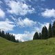 IMG 3053