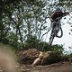 specialized-stumpjumper-action-6286