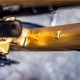 Sea Otter - Pole-37