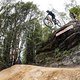 Gracey Hemstreet performs during practice at Red Bull Hardline in Maydena Bike Park,  Australia on February 20,  2024 // Graeme Murray / Red Bull Content Pool // SI202402200401 // Usage for editorial use only //