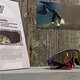 Die Alpina Sonic Brille gibt es ab sofort auch mit den photochromen Quatroflex Varioflex Scheiben.