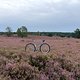 IMG 1079