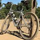 Cunningham Indian with fresh rubber