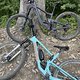IMG 1564