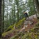 BC Squamish - Pleasure Trail