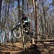 Bike Beerfelden P 287