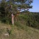 2012-05-30 18-56-38 514