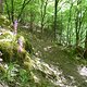 Vogostern2011-52