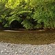 IMG 1281-ck